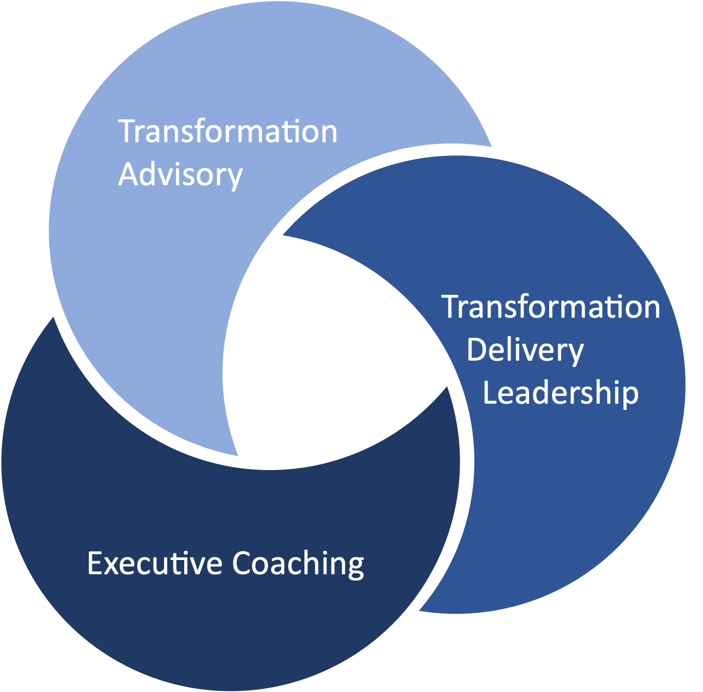 Transformation Advisory · Transformation Delivery Leadership · Executive Coaching — the AltaTransform blend